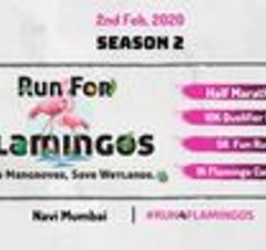 Run For Flamingos - Save Mangroves, Save Wetlands